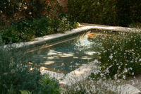 The Oasis Plan Image 1