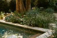 The Oasis Plan Image 2